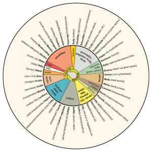 Beer Tasting Guide | Independent Beers