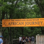 Then we headed over to the African section.